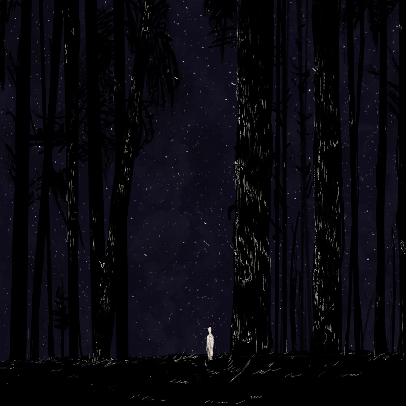 Vincent Alizé (Vincent Vachon) — projet Vincentalize, illustration Forêt aux nuits incandescentes