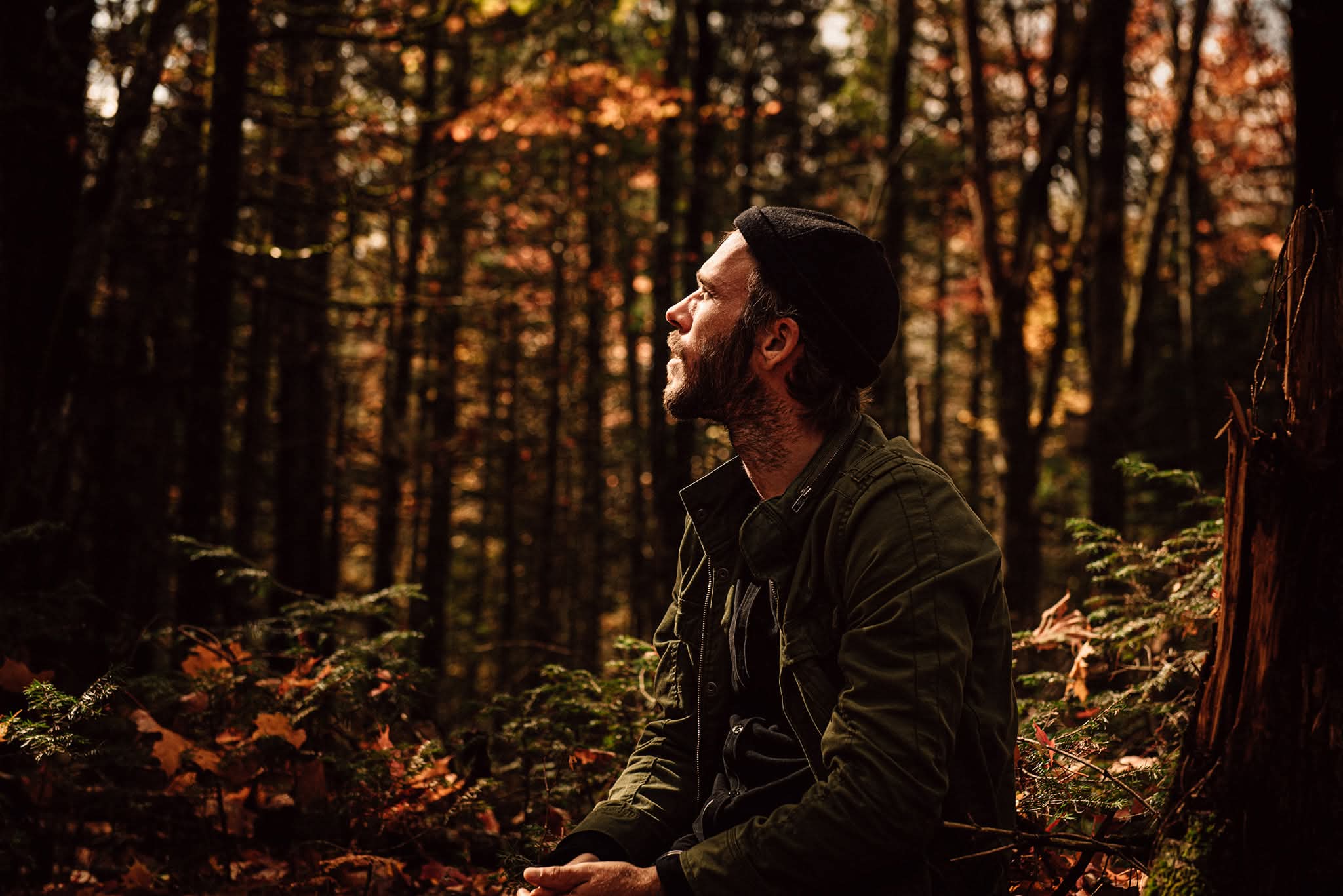 Vincent Alizé - photo 8